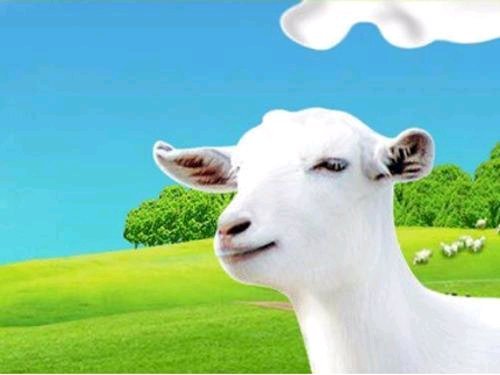 帶大家三分鐘了解羊奶粉！